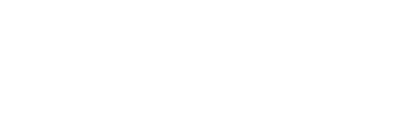 adeptaudio